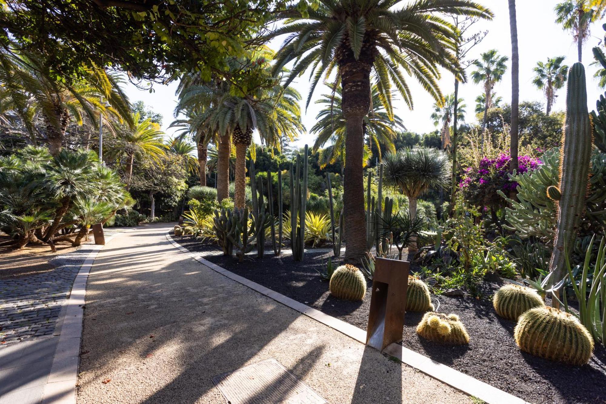 Home2book Stylish Sea Views Santa Cruz